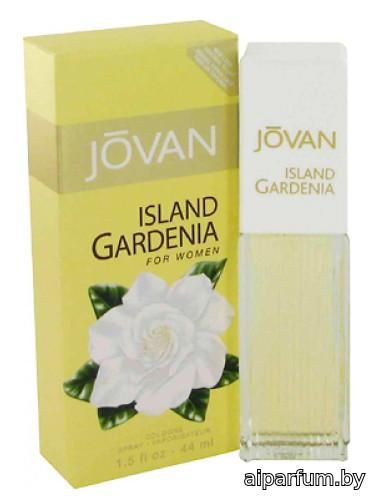 Island Gardenia
