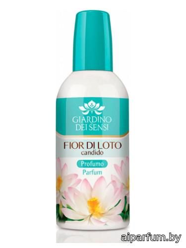 Fior di Loto Candido