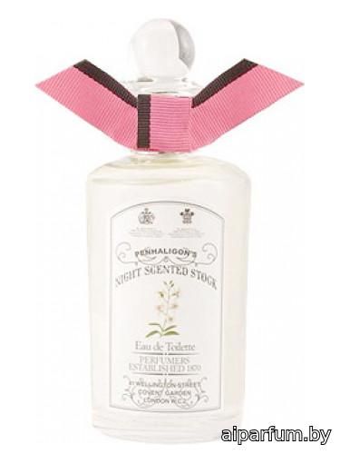 Night Scented Stock