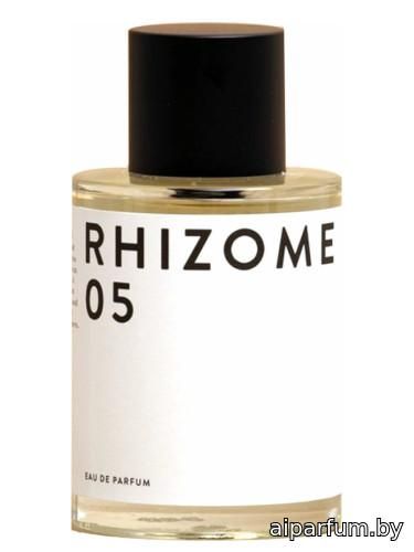 Rhizome 05