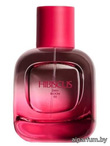Hibiscus