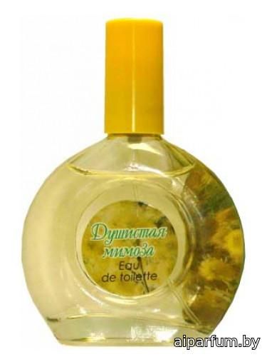 Sweet Mimosa