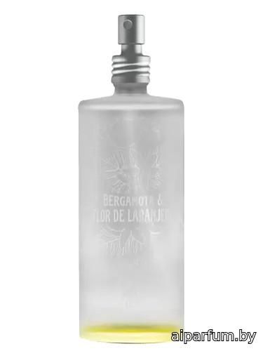Bergamota & Flor de Laranjeira