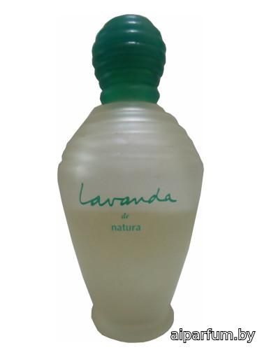Lavanda