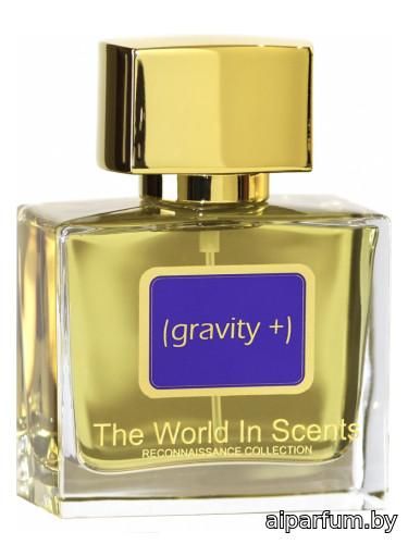 Gravity Plus
