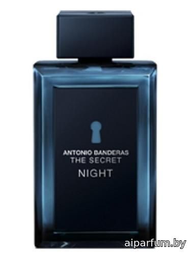 The Secret Night