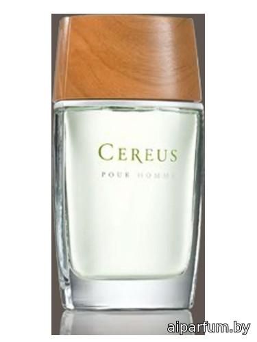 Cereus No.5