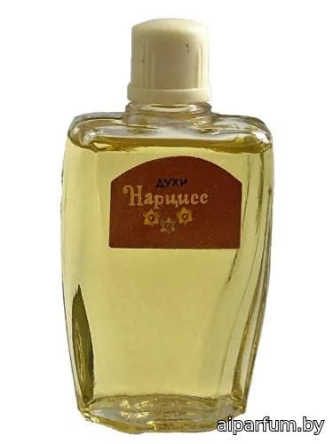 Нарцисс (Narcissus)