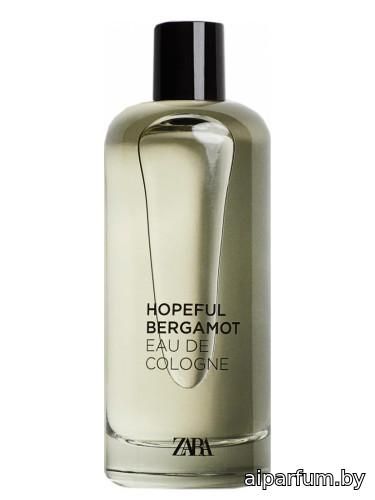 Hopeful Bergamot