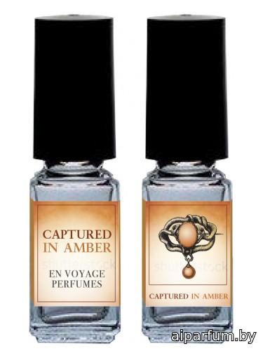 Captured in Amber