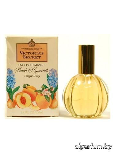 Peach Hyacinth