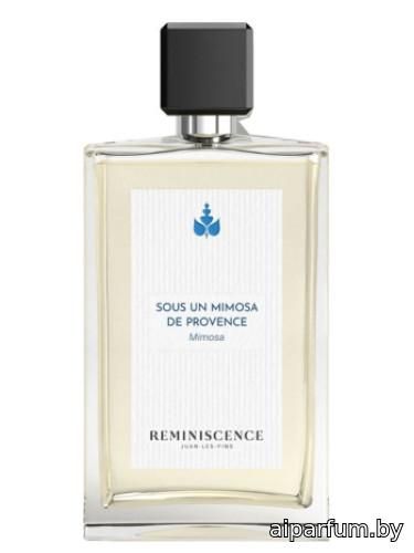 Sous un Mimosa de Provence