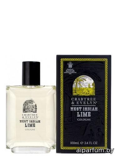 West Indian Lime