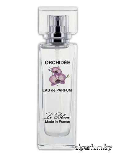 Orchidée