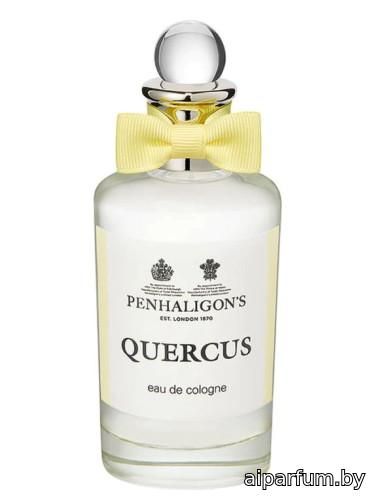 Quercus