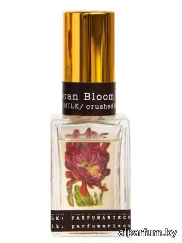 Sonoran Bloom