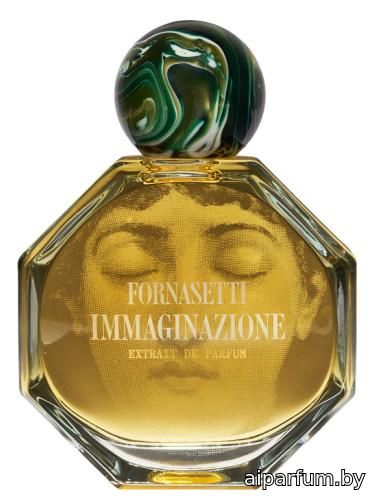 Immaginazione