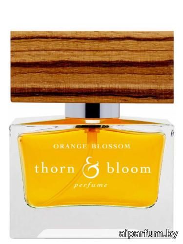 Orange Blossom