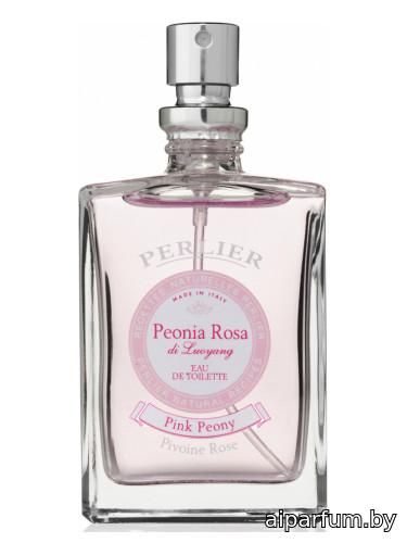 Peonia Rosa