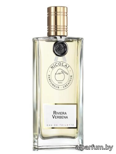 Riviera Verbena