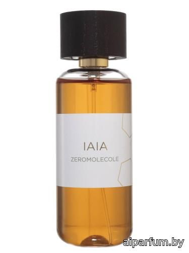IAIA
