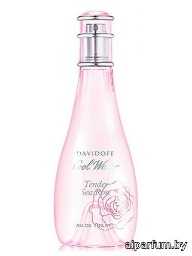 Cool Water Tender Sea Rose
