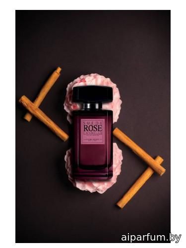 Rose Cannelle