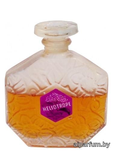 Heliotrope