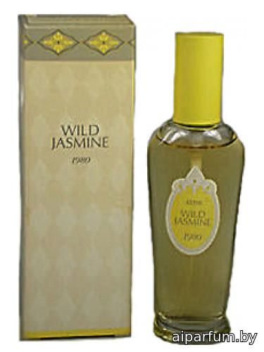 Wild Jasmine