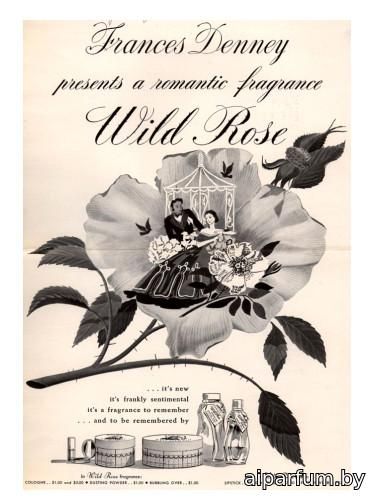 Wild Rose