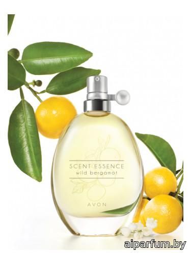 Scent Essence - Wild Bergamot