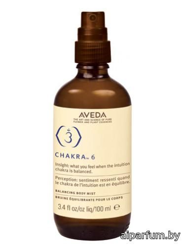 Chakra 6 Intuition
