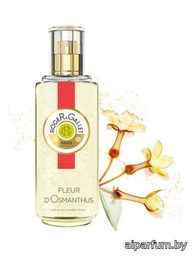 Fleur d'Osmanthus