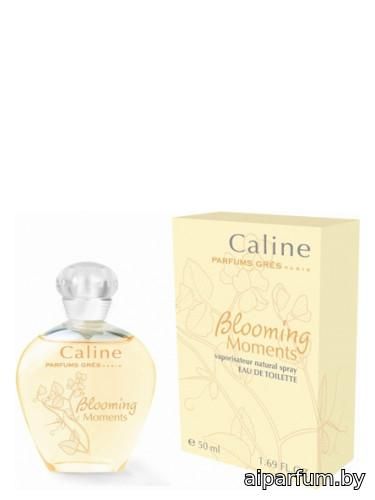 Caline Blooming Moments