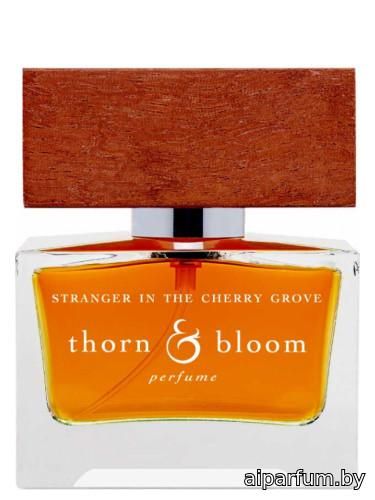 Stranger in the Cherry Grove