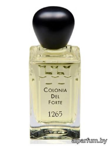 Colonia del Forte 1265