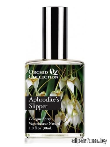 Aphrodite's Slipper Orchid