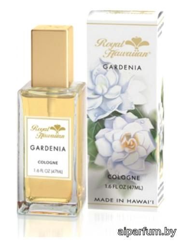 Gardenia