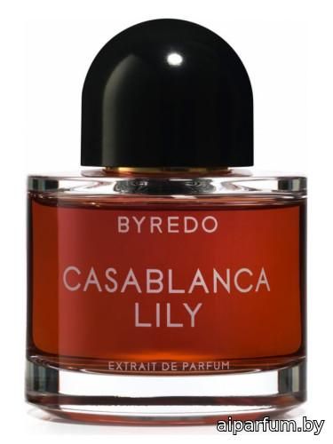 Casablanca Lily (2019)