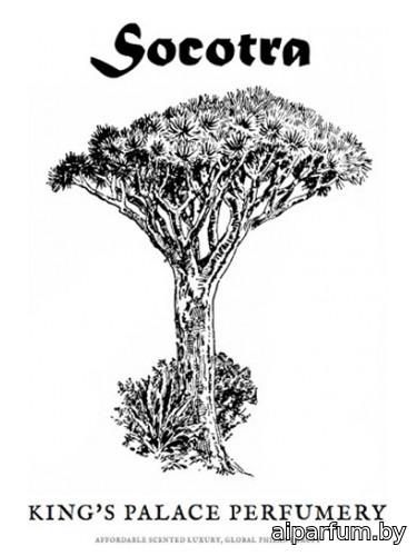 Socotra