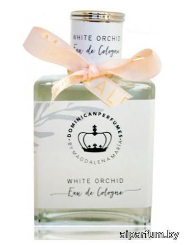 White Orchid