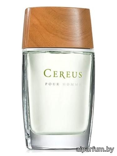 Cereus No. 6