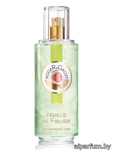 Feuille de Figuier