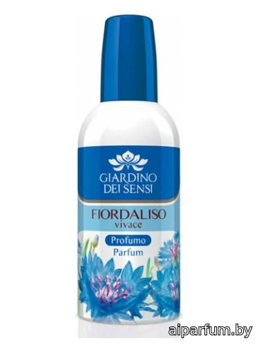 Fiordaliso Vivace