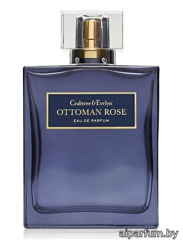 Ottoman Rose