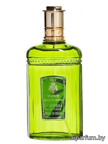 Mora Di Gelso