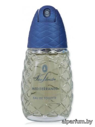 Pino Silvestre Mediterraneo