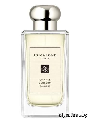 Orange Blossom