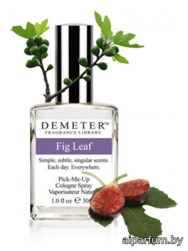 Fig Leaf