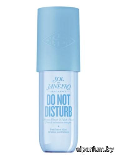 Do Not Disturb